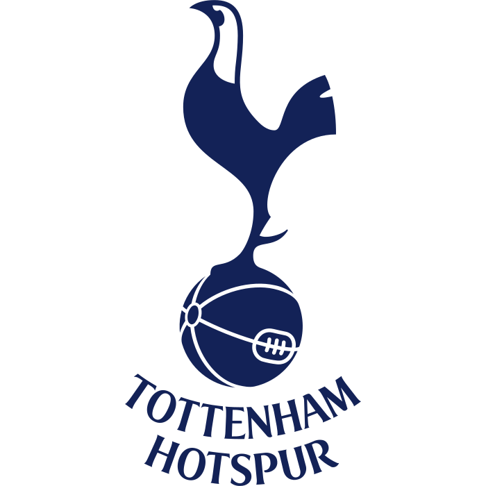 Maillots de Tottenham Image