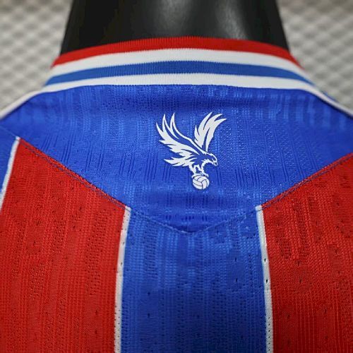 Maillot Joueur Crystal Palace Domicile 2025/2026 — vue 2
