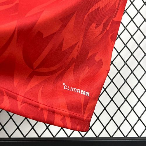 Maillot Belgique Domicile Coupe Du Monde 2026 — vue 5