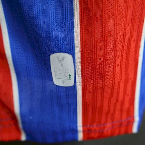 Maillot Joueur Crystal Palace Domicile 2025/2026