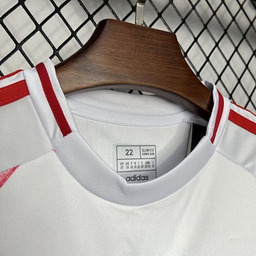 Maillot Enfant Japon Extérieur 2024/2025