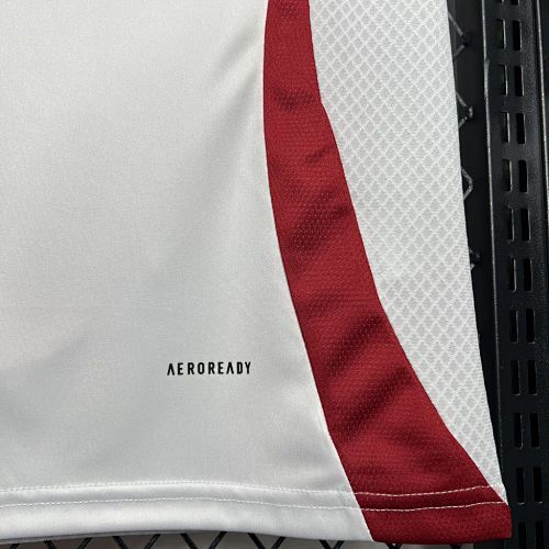 Maillot Japon Extérieur 2024/2025 — vue 6