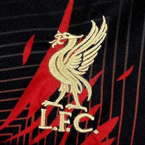 Maillot Liverpool Edition "Phénix Rouge Noir" 2025/2026 — vue 6