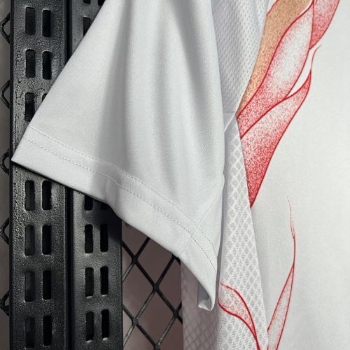 Maillot Japon Extérieur 2024/2025