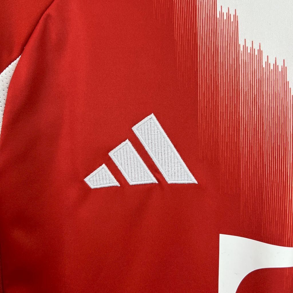 Japan Home Jersey 2025/2026