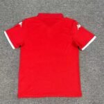 Maillot Tunisie Domicile 2024/2025 – Image 2