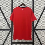 Maillot Lille Domicile 2024/2025 – Image 2