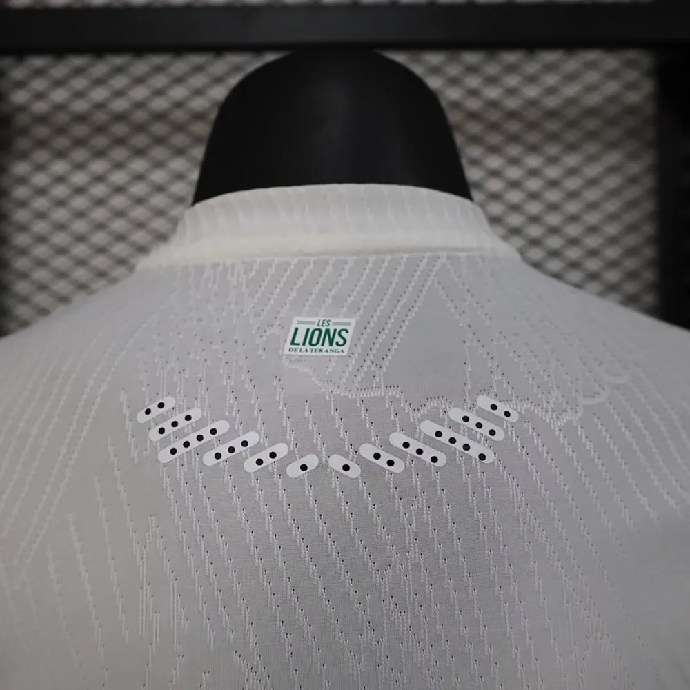 Maillot Match Senegal Domicile 2024-2025 (4) Senegal Home Player Jersey 2024/2025 - Image 4