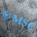 Napoli Third jersey 2024/2025 - Image 4