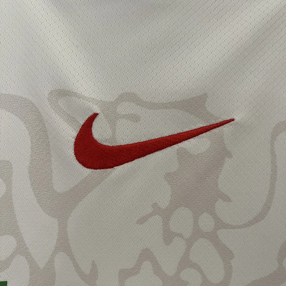 Maillot Nigeria Domicile 2024-2025 (4) Nigeria home jersey 2024/2025 - Image 4