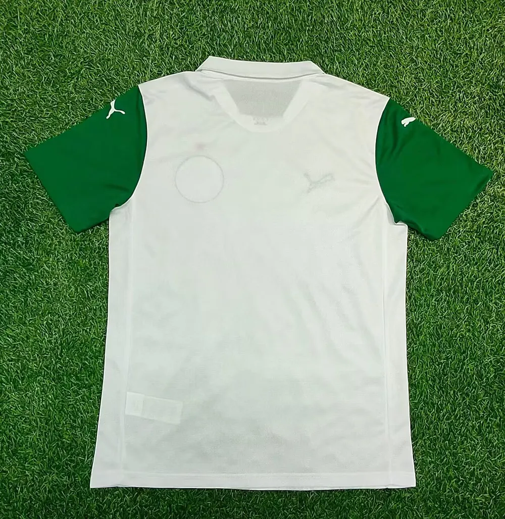 Maillot Palmeiras Exterieur 2025-2026 (4) Palmeiras Away Jersey 2024/2025 - Image 2