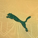 Palmeiras Third jersey 2024/2025 - Image 4