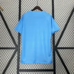 Netherlands Concept "Blue Lion" jersey 2024/2025 - Image 2