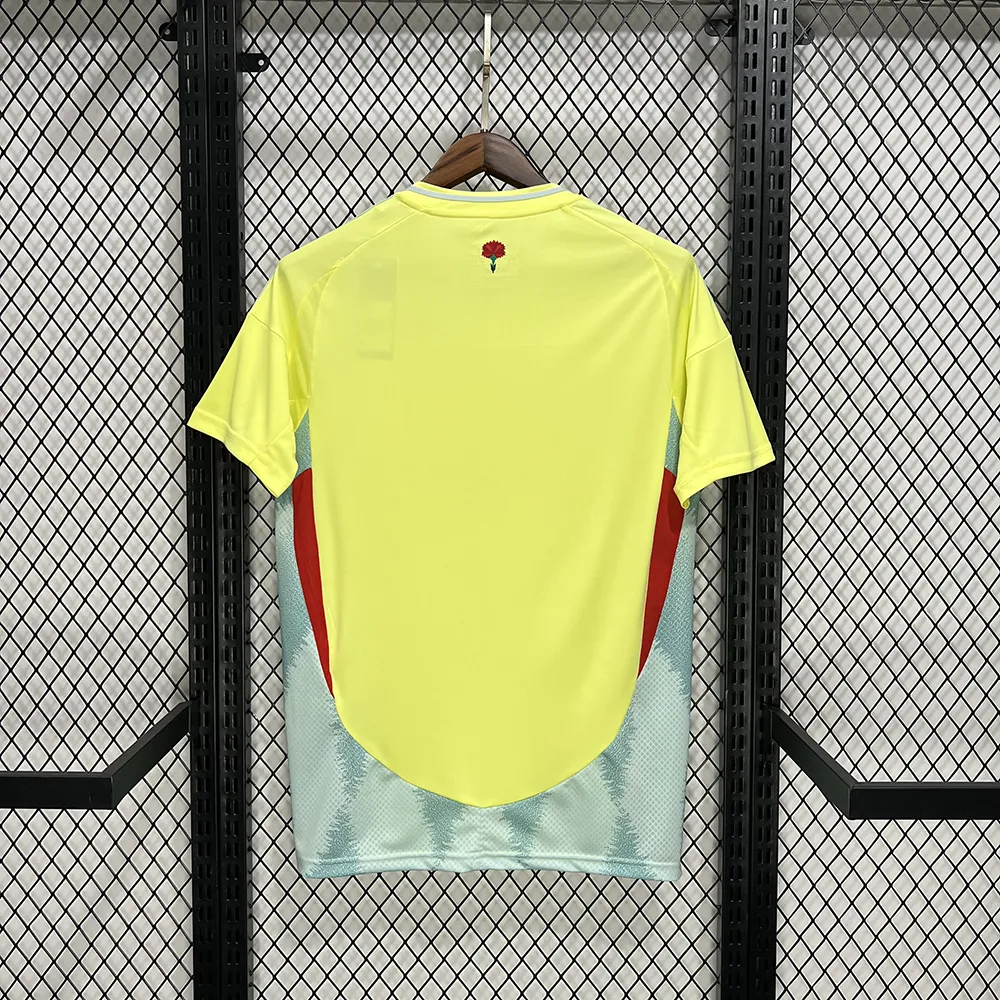 Maillot Portugal Exterieur 2024-2025 (2) Maillot Portugal Exterieur 2024/2025 – Image 2