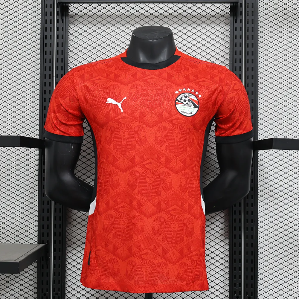 Maillot Match Egypte Domicile 2025-2026 (1) Maillot Joueur Egypte Domicile 2025/2026